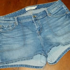 Torrid Shorts
